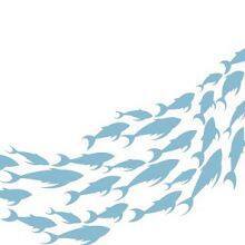 Nova Packing Co.,Ltd company overview - view 1 thumbnail