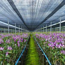 Agriculture Use Low Price Shade Net HDPE Material Sunshade Netting With UV Resistance thumbnail-5