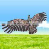 Chinese Hawk Kite