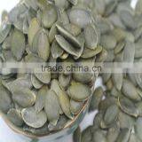 Sugar Beet Pulp Pellet Wholesale Pumpkin Seeds GWS Pumpkin Seeds thumbnail-2
