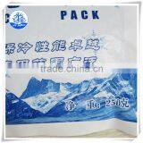 Never Slide Ice Pack