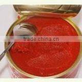 New Season Canned Tomato Paste , DOUBLE CONCENTRE Export to Africa