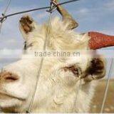 Hot Sale! Good Quality Prairie Fence