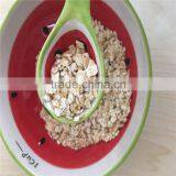 Quaker Oats Quality Oat Flakes in Oats Wholesale Price thumbnail-4