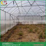 Single Span Vegetable Greenhouse Without Gutter thumbnail-1