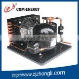 Professional Refrigerator Freezing Condensing Unit in China