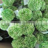 Handmade Allium Flower