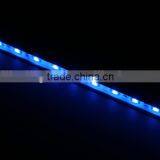 Led Strip 5050warm White /cold White/ Blue Color With Plastic Cover Led Lamp Wholesale CE&RoHS thumbnail-2