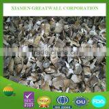 A grade Dried oyster mushroom/ pleurotus ostreatus cubes