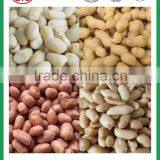 Red Skin Pure Good Quality Peanut Kernel With High Quality thumbnail-2