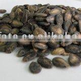 Black Watermelon Seeds B Grade in Low Price
