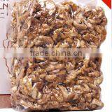 2015 New Crop Dried Light / Amber Half Walnut Kernels thumbnail-3