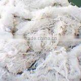 100% Cotton Yarn Waste Exporter thumbnail-1