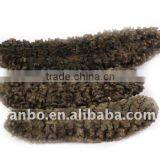 Pricky Redfish thumbnail-1