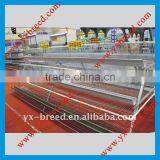 Automatic Egg Chicken Wire Mesh Cage for Chicken Breeding