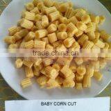 Fresh Baby Corn Cut From Vietnam thumbnail-4