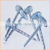 Top Quality Plastic Cap Roofing Nails Trusted Chuanghe Suppliers From Com thumbnail-2