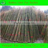 Wholesale Fencing Pole Bamboo Cane Furniture thumbnail-1