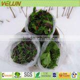 UV-stable Agriculture Fabric for Garden and Agriculture Cover(WJ-AL-0081)