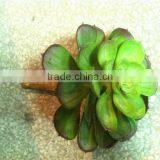 Home and Outdoor Garden Edging Christmas Decoration 60cm or 24inches Height Artificial Small Grass for Green Wall E04 1025 thumbnail-4