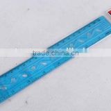 plastic flexible ruler
