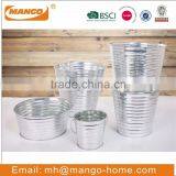 Colorful Name-plate Metal Flower Garden Planter thumbnail-5