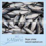 Nutritional Bonito Fish From The Pacific Ocean Lot Number#kmw4380 thumbnail-1