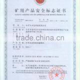 Intrinsically Safe Digital Video thumbnail-2