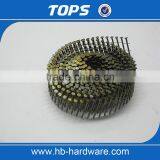 Low Price Good Quality Coil Roofing Nail Made in China thumbnail-5