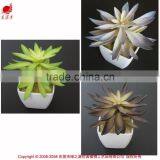 Hot Sale Artificial Potted Plants Chinese Succulent Plants thumbnail-3