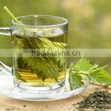 Nettle Leaf Cleanse Tea for Weight Loss Reduce Bloating Appetite Suppressant thumbnail-5