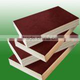 Heze Kaixin 12mm Brown Film Faced Plywood thumbnail-1