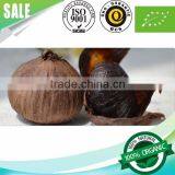 2016 Hot Sale Natural Green Food Organic Black Garlic Single Bulb China thumbnail-4