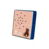 Motion Sensor Voice Recordable Gifts