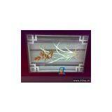 Stone Medallion thumbnail-1