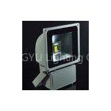 110v, 230v, 240v 80W IP65 Cob Outdoor Led Flood Light Fixtures (6500LM - 7500LM)