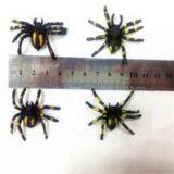 Realistic Plastic Toy Spiders For Kids thumbnail-1