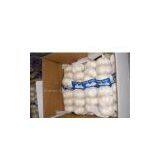 2011 Low Price Garlic