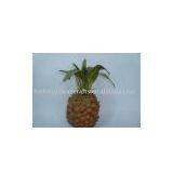 Artificial Fruit (pineapple) thumbnail-1