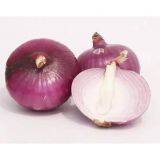 Wholesale New Fresh Red Onion With Good Price thumbnail-2