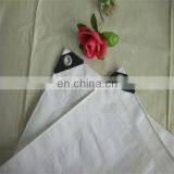 Poly Tarps With Four Corner Reinforcement and Eyelet Plastic Raw Material thumbnail-1
