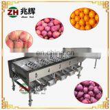 2018 High Quality Commercial Apple Grader Fruit and Vegetable Grader on Sale thumbnail-3