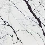 Vm-18316 thumbnail-2