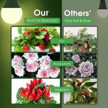 3W E26 E27 Bright 4000K Natural Sunlight Full Spectrum Light Bulb for Indoor Plants, Flowers, Greenhouse thumbnail-5