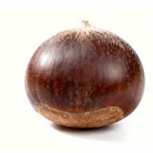 Fresh Shan Dong Chestnut thumbnail-3