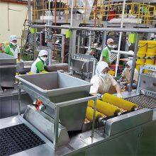 Teddy Bear Center Filled Biscuits Chocolate Filled Biscuit Production Machines thumbnail-4