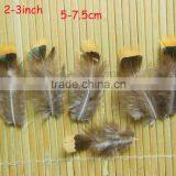 Wholesale Diy Feather Decorative Craft Feather thumbnail-2