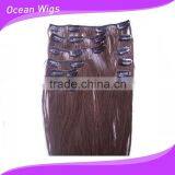 Clips Hair Extension