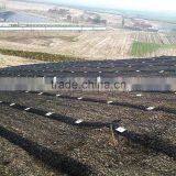 Three -dimension Geomat thumbnail-6