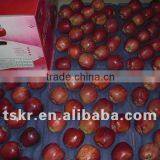 Fruit Pricessummer Red Apple thumbnail-1